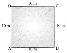 NCERT Solutions for Class 9 Science Chapter 8 Motion 1